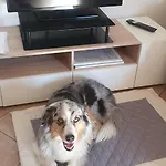 Ca Dai Noni - Family & Pet Friendly - Terrace - Near Maggiore Apartment