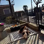 Apartment Ca Dai Noni - Family & Pet Friendly - Terrace - Near Maggiore Feriolo