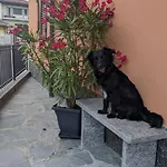Ca Dai Noni - Family & Pet Friendly - Terrace - Near Maggiore Apartment