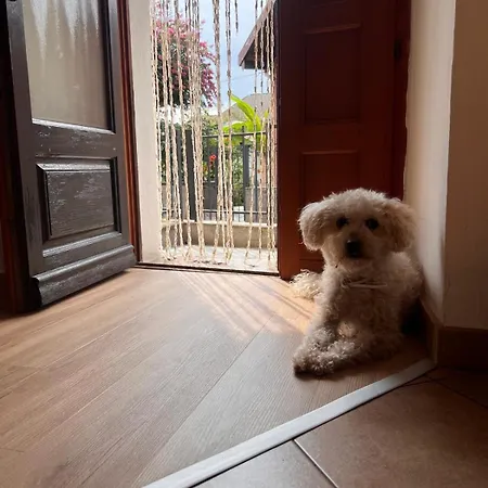 Apartamento Ca Dai Noni - Family & Pet Friendly - Terrace - Near Maggiore *