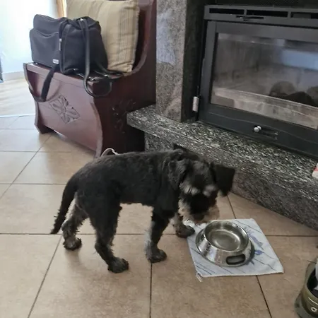 Ca Dai Noni - Family & Pet Friendly - Terrace - Near Maggiore Apartamento *