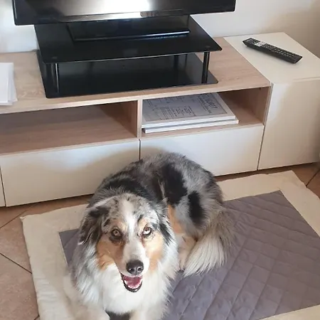 Ca Dai Noni - Family & Pet Friendly - Terrace - Near Maggiore Apartamento