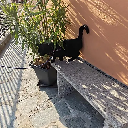 Ca Dai Noni - Family & Pet Friendly - Terrace - Near Maggiore Feriolo