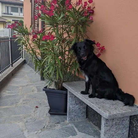 Ca Dai Noni - Family & Pet Friendly - Terrace - Near Maggiore Apartamento