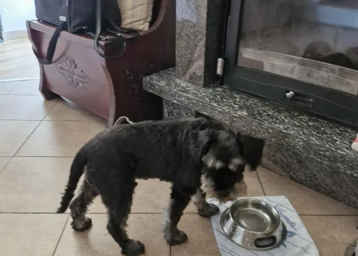 Ca Dai Noni - Family & Pet Friendly - Terrace - Near Maggiore Apartament *