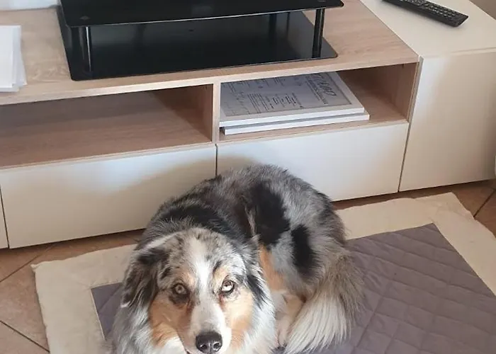 Ca Dai Noni - Family & Pet Friendly - Terrace - Near Maggiore Apartmán