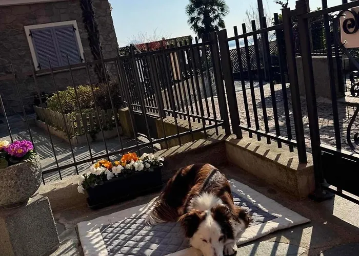 Apartmán Ca Dai Noni - Family & Pet Friendly - Terrace - Near Maggiore Feriolo