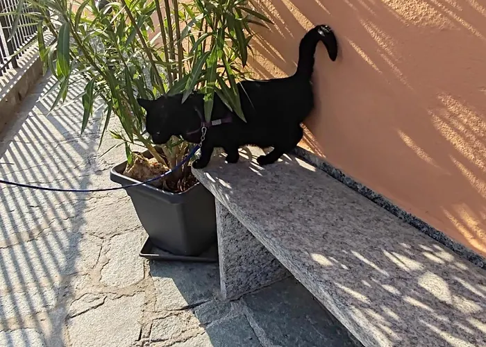 Cà Dai Noni Feriolo