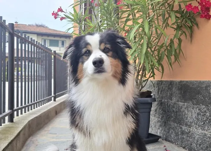 Ca Dai Noni - Family & Pet Friendly - Terrace - Near Maggiore Apartmán