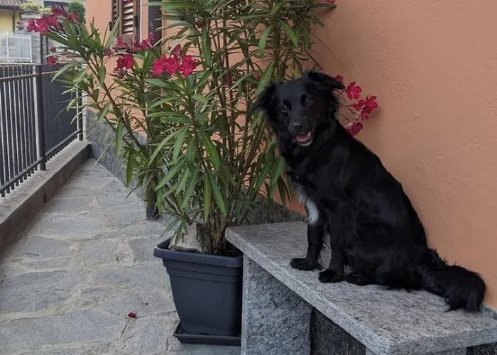 Ca Dai Noni - Family & Pet Friendly - Terrace - Near Maggiore Apartmán